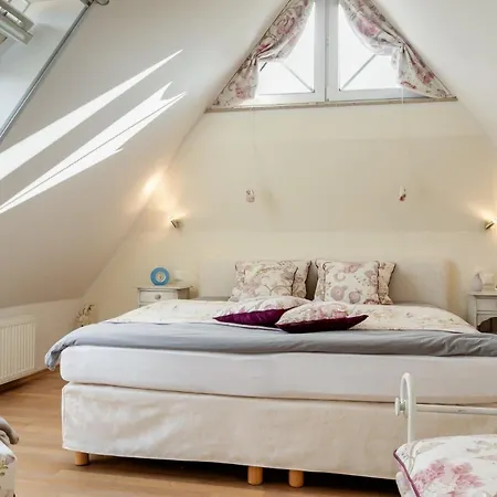 Appartement Ostseemuschel