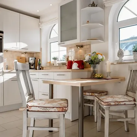 Ostseemuschel Zingst