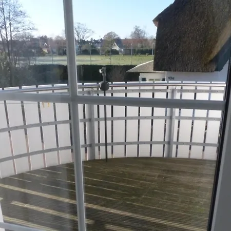 Ostseemuschel Цингст